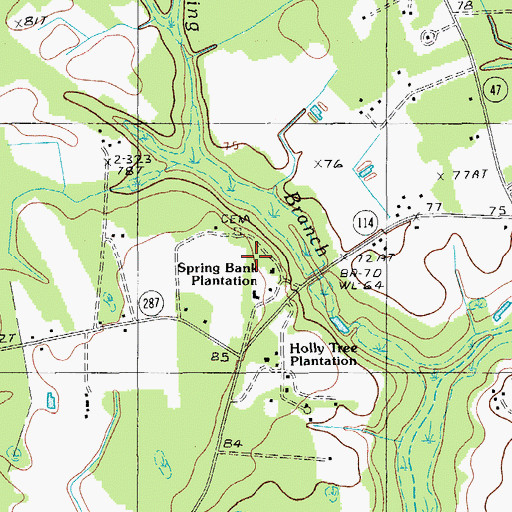 Topographic Map of Spring Bank Plantation, SC