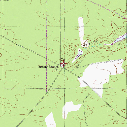 Topographic Map of Spring Branch Baptist Church, SC