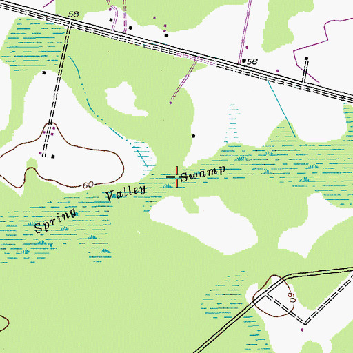 Topographic Map of Spring Valley Swamp, SC