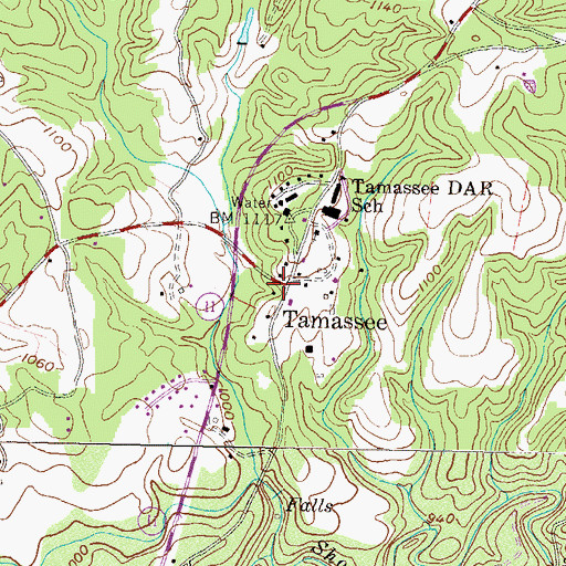 Topographic Map of Tamassee, SC