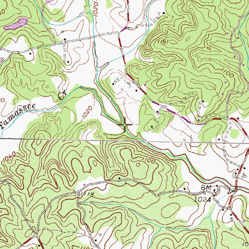 Topographic Map of Tamassee Creek, SC