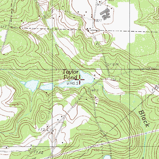 Topographic Map of Taylor Pond, SC