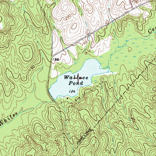 Topographic Map of Wallace Pond, SC