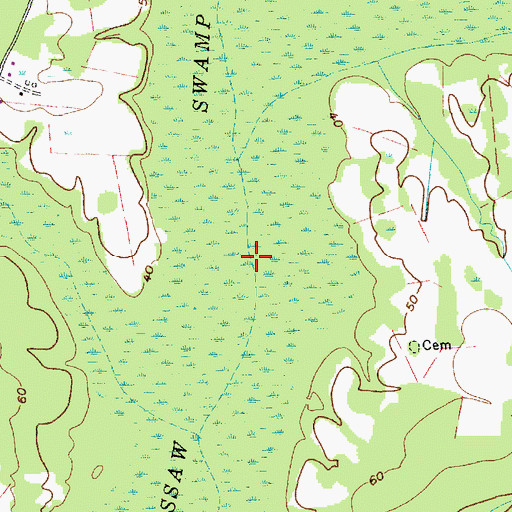 Topographic Map of Wassamassaw Swamp, SC