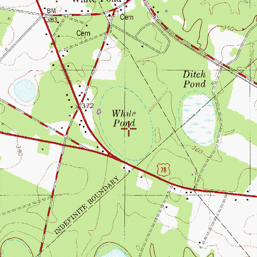 Topographic Map of White Pond, SC