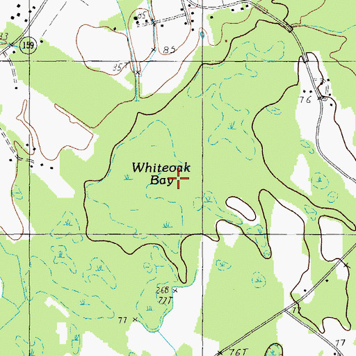 Topographic Map of Whiteoak Bay, SC