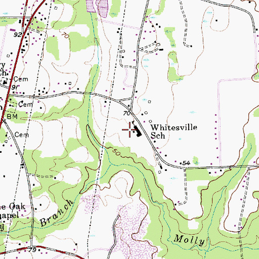 Topographic Map of Whitesville Elementary School, SC