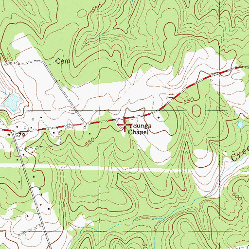 Topographic Map of Youngs Chapel, SC