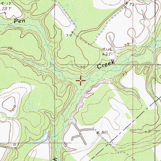 Topographic Map of Zigzag Branch, SC