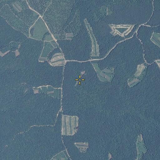 Aerial/Satellite Image of Poplar Spring, AL