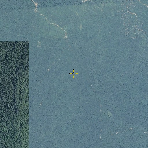 Aerial/Satellite Image of Poplar Spring, AL