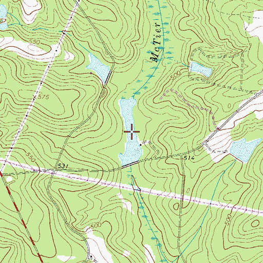 Topographic Map of Catos Pond, SC
