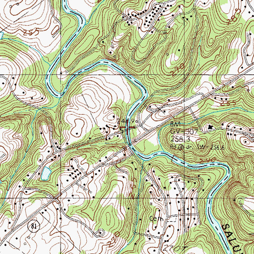 Topographic Map of Dunham Bridge, SC
