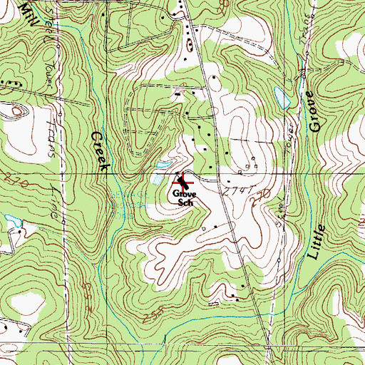 Topographic Map of Grove Elementary School, SC