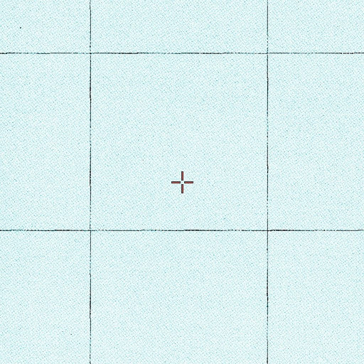Topographic Map of Blackoak Church (historical), SC