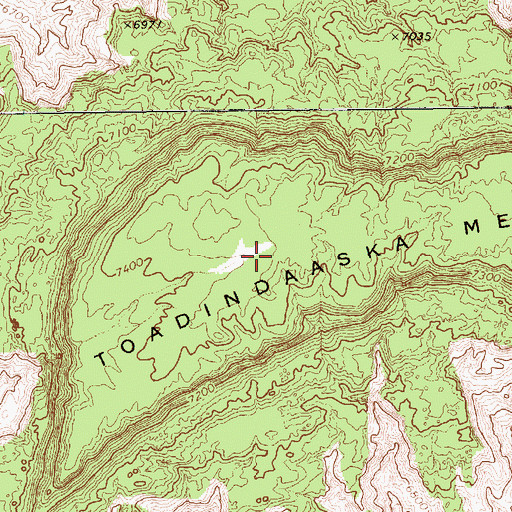 Topographic Map of Toadindaaska Mesa, AZ