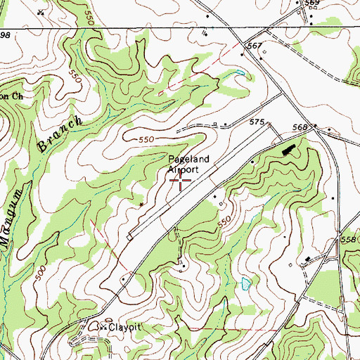 Topographic Map of Pageland Airport, SC