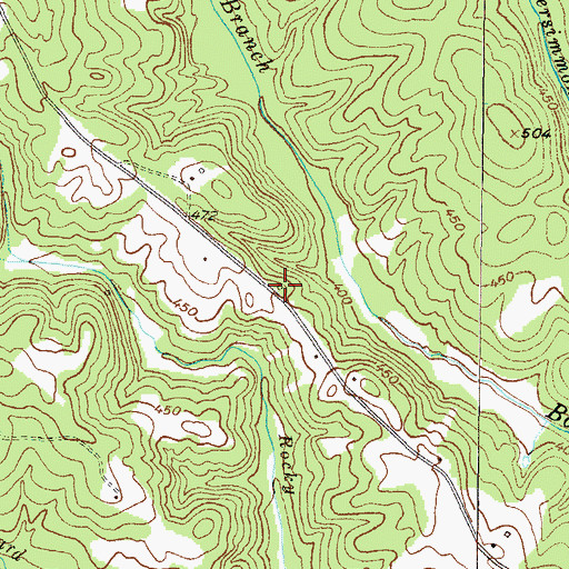 Topographic Map of Bold Branch School (historical), SC
