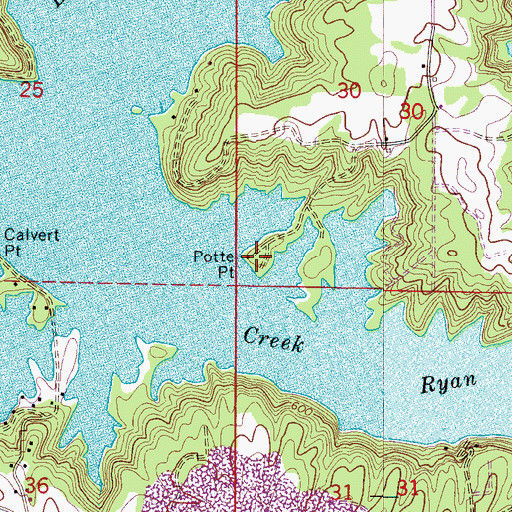 Topographic Map of Potte Point, AL