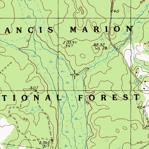 Topographic Map of Browns Branch, SC