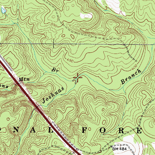 Topographic Map of David Branch, SC