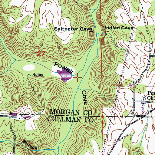 Topographic Map of Powell Cove, AL