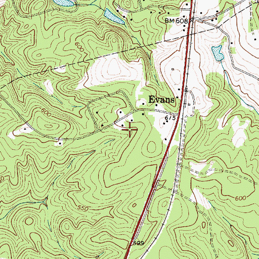 Topographic Map of WDZK-FM (Chester), SC