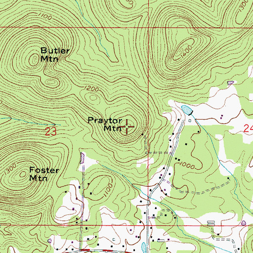 Topographic Map of Praytor Mountain, AL