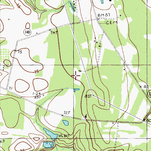 Topographic Map of WHLZ-FM (Manning), SC