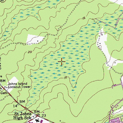Topographic Map of Bloody Dick Swamp, SC