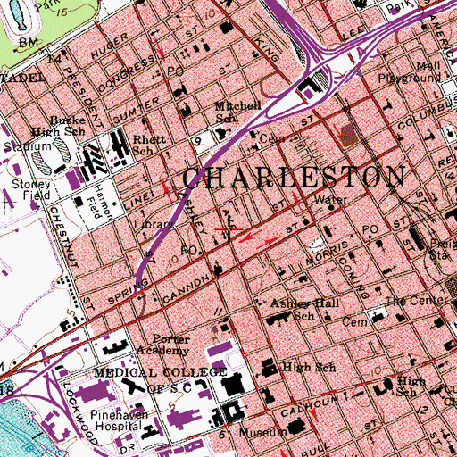 Topographic Map of Brith Sholom Beth Israel Synagogue, SC