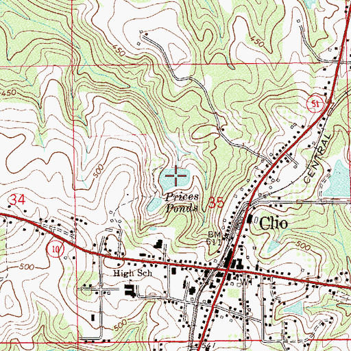 Topographic Map of Prices Ponds, AL