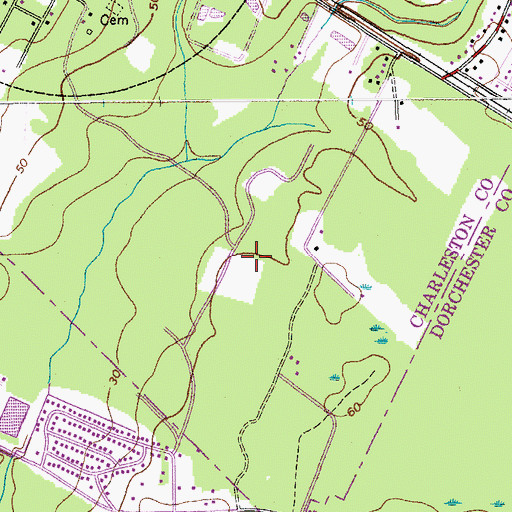 Topographic Map of Chandler Lakes, SC