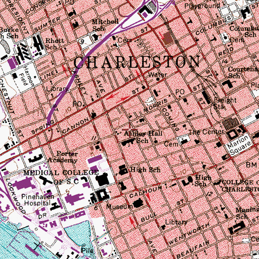 Topographic Map of Charleston Hebrew Institute, SC