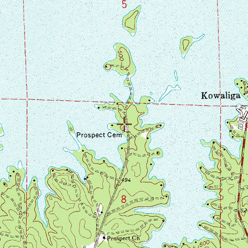 Topographic Map of Prospect Cemetery, AL