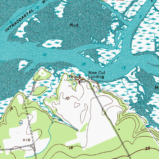 Topographic Map of New Cut Plantation, SC