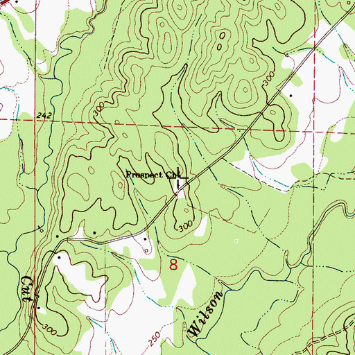Topographic Map of Prospect Church, AL