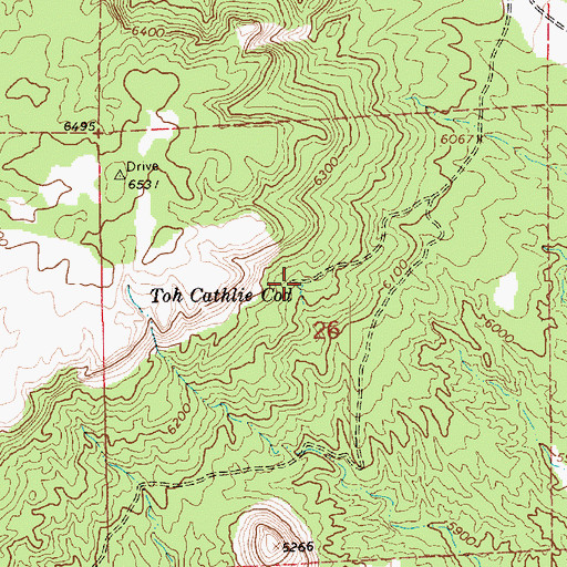 Topographic Map of Toh Cathlie Cod, AZ