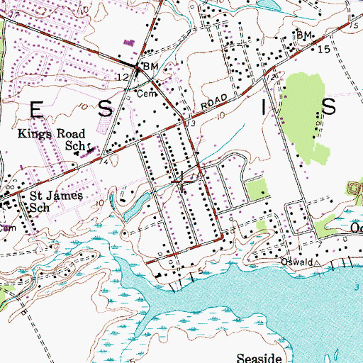Topographic Map of Teal Acres, SC