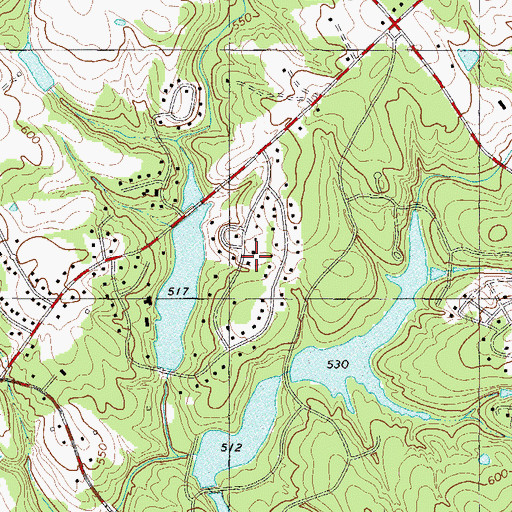Topographic Map of Chinquapin, SC