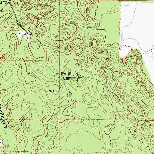 Topographic Map of Pruitt Cemetery, AL
