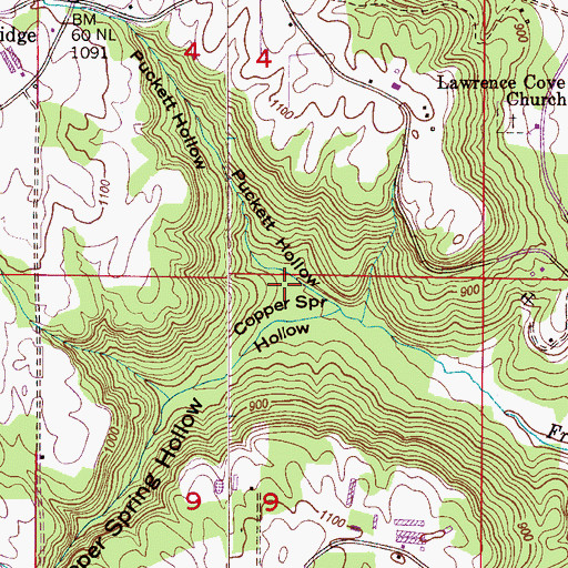 Topographic Map of Puckett Hollow, AL