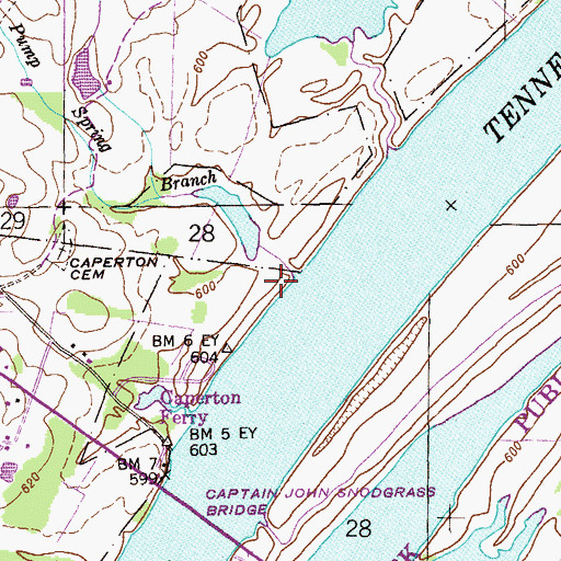 Topographic Map of Pump Spring Branch, AL