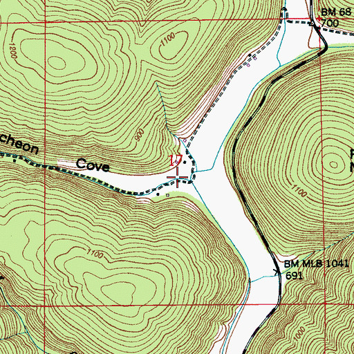 Topographic Map of Puncheon Cove, AL