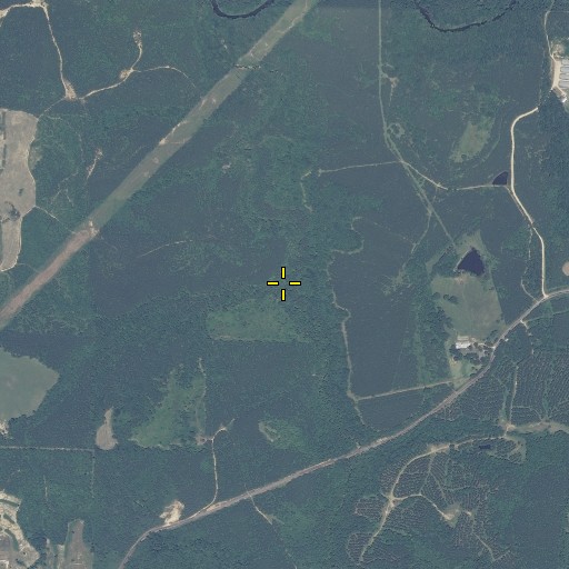 Aerial/Satellite Image of Purcell Branch, AL