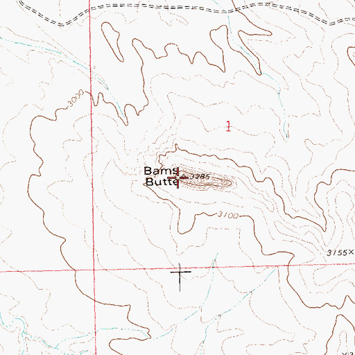 Topographic Map of Bams Butte, SD