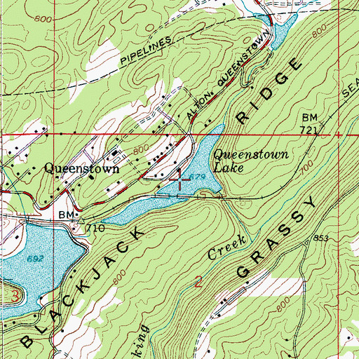 Topographic Map of Queenstown Lake, AL