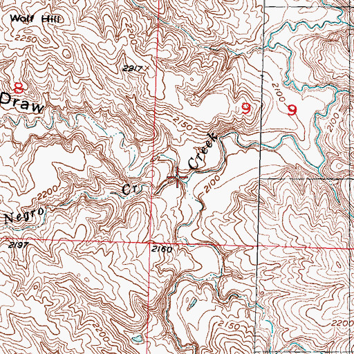 Topographic Map of Big Negro Draw, SD