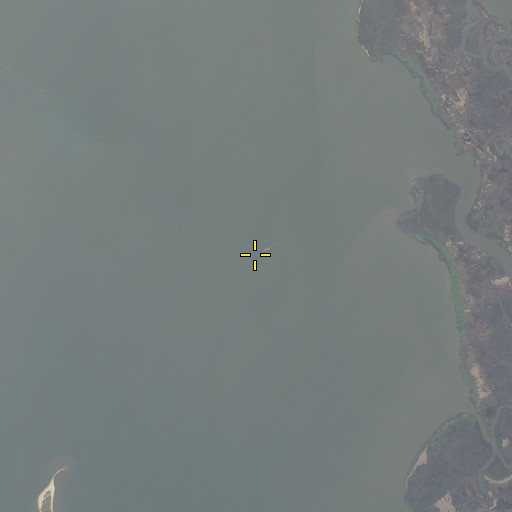 Aerial/Satellite Image of Raccoon Island, AL