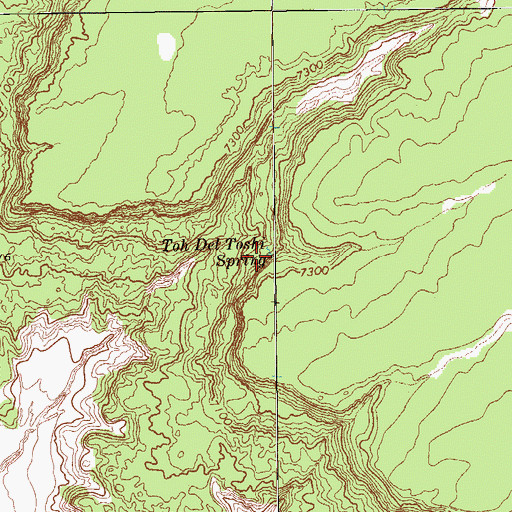 Topographic Map of Toh Del Toshi Spring, AZ